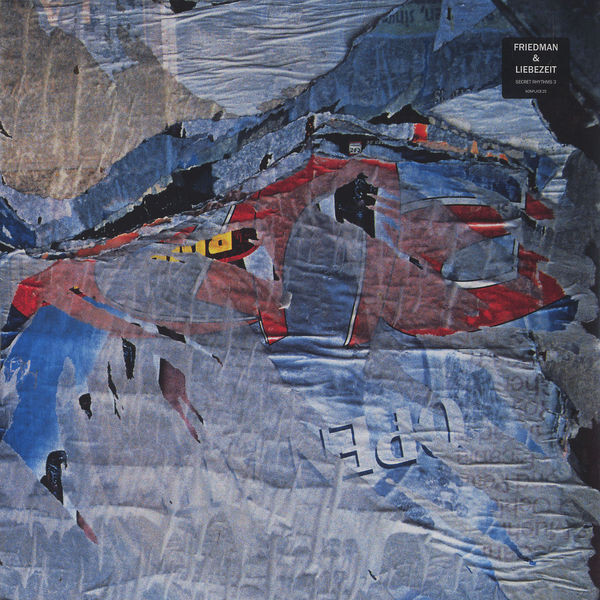 レコード Burnt Friedman & Jaki Liebezeit 2LP