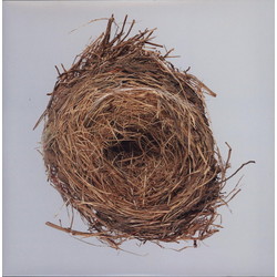 Wilco A Ghost Is Born vinyl 2 LP