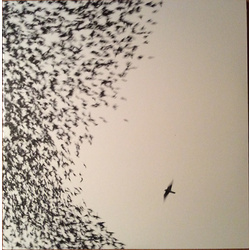 Wilco Sky Blue Sky RTI press 180gm vinyl LP + CD, gatefold