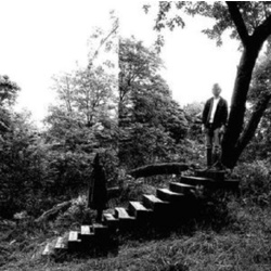 Timber Timbre Timber Timbre 180gm vinyl LP + download in plastic sleeve + sticker     