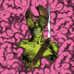 Thee Oh Sees Carrion Crawler Dream vinyl LP