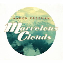 Aaron Freeman Marvelous Clouds BLACK VINYL LP SEALED