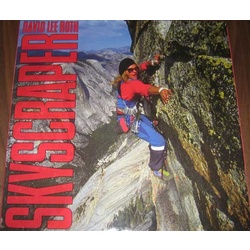 David Lee Roth Skyscraper vinyl LP