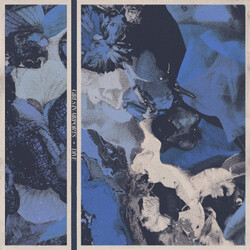 Girls In Airports Dive vinyl LP