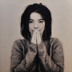 Bjork Debut reissue vinyl LP