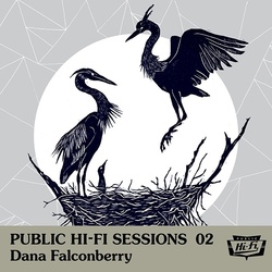 Dana Falconberry Public Hi-Fi Sessions 02 RSD limited edition vinyl LP 