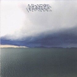 Modest Mouse Fruit That Ate Itself 180gm vinyl LP 