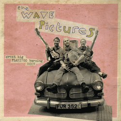 The Wave Pictures Great Big Flamingo Burning Moon
