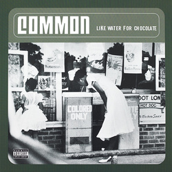Common Like Water For Chocolate 180gm green / white vinyl 2 LP