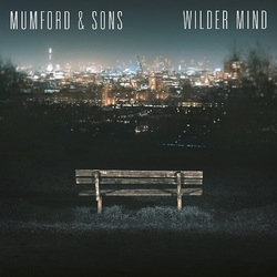 Mumford & Sons Wilder Mind 180gm vinyl LP gatefold