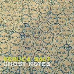 Veruca Salt Ghost Notes coloured vinyl 2 LP +download, gatefold