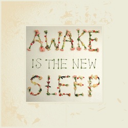 Ben Lee Awake Is The New Sleep RSD vinyl 2 LP