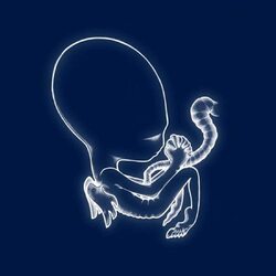 Sigur Rós Ágætis Byrjun 2021 reissue vinyl 2 LP 