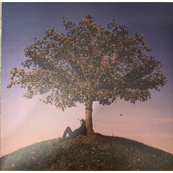 slowthai Tyron vinyl LP plus SIGNED 12x12 litho