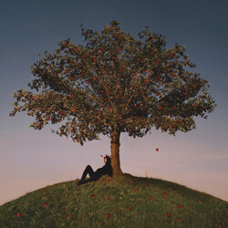 slowthai TYRON BLACK VINYL LP