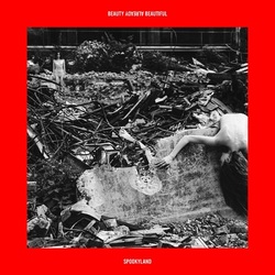 Spookyland Beauty Already Beautiful Vinyl LP