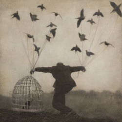 The Gloaming 2 VINYL 2 LP