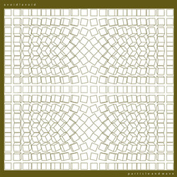 Avoid Avoid Particle & Wave vinyl LP gatefold 