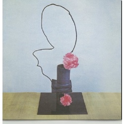 Methyl Ethel Oh Inhuman Spectacle vinyl LP 