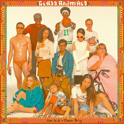 Glass Animals How To Be A Human Being VINYL LP