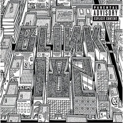 Blink 182 Neighborhoods vinyl LP