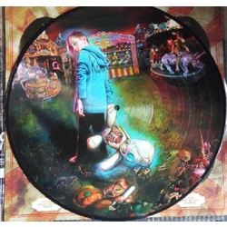 Korn Serenity Of Suffering picture disc vinyl LP NEW                                             