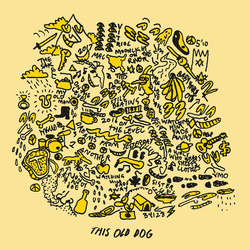 Mac Demarco This Old Dog vinyl LP gatefold sleeve