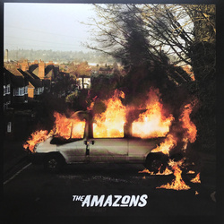 The Amazons The Amazons vinyl LP 