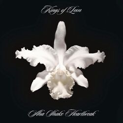 Kings Of Leon Aha Shake Heartbreak 180GM VINYL 2 LP