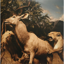 Interpol Our Love To Admire vinyl LP