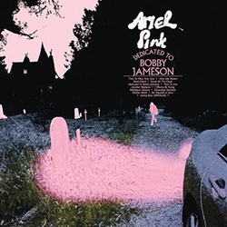 Ariel Pink Dedicated To Bobby Jameson black vinyl LP +download 