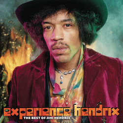 Jimi Hendrix Experience Hendrix The Best Of vinyl 2 LP
