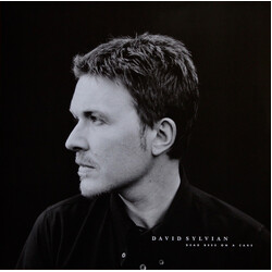 David Sylvian Dead Bees On A Cake Vinyl 2 LP