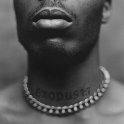 Dmx Exodus vinyl LP