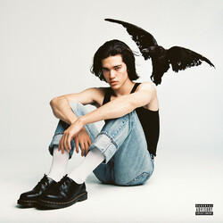 Conan Gray Kid Krow SMOKY GRAY VINYL LP