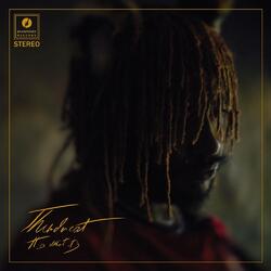 Thundercat It Is What It Is PICTURE DISC ltd vinyl LP