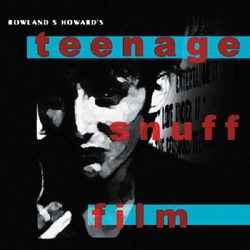 Rowland S. Howard Teenage Snuff Film US VINYL 2 LP