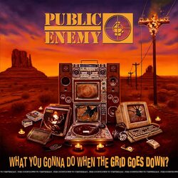 Public Enemy What You Gonna Do When The Grid Goes Down vinyl LP