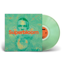 Ashton Irwin Superbloom