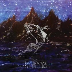 David Gray Skellig vinyl 2 LP