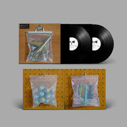Black Country New Road Ants From Up There black vinyl 2 LP