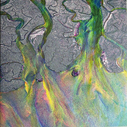 alt-J An Awesome Wave Vinyl LP