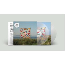 Matthew Halsall An Ever Changing View TRANSPARENT CLEAR VINYL 2 LP
