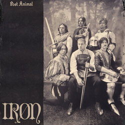 Post Animal Iron COKE BOTTLE CLEAR VINYL LP GATEFOLD