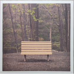Streetlight Manifesto The Hands That Thieve 2026 reisssue LIMITED CLEAR VINYL LP