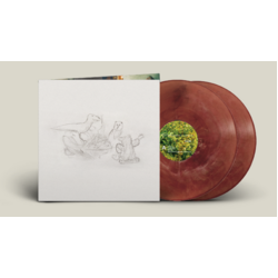 Big Thief Dragon New Warm I Believe In You indie eco friendly COLOURED vinyl 2 LP