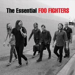 Foo Fighters The Essential Foo Fighters VINYL 2 LP