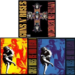 Guns 'N Roses Illusion 1 and 2 plus Appetite For Destruction 3 x vinyl LP s
