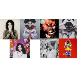 Bjork Debut Homogenic Biophilia Medlula Vespertine Volta 7 coloured LPs