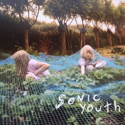 Sonic Youth Murray Street vinyl LP